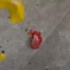 Hold preview