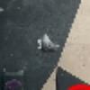 Hold preview