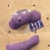 Hold preview