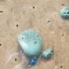 Hold preview